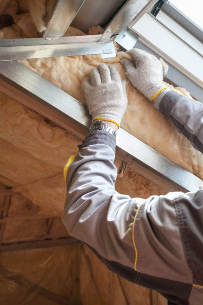 Best Best Insulation Companies  in Palos Park, IL