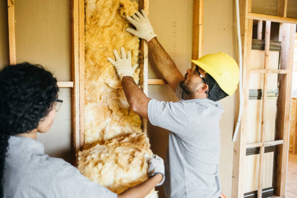 Best Insulation Replacement Services  in Palos Park, IL