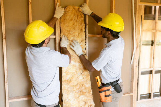 Best Insulation Repair Services  in Palos Park, IL