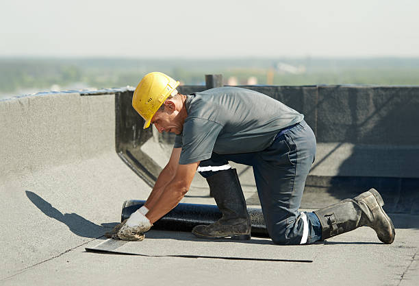 Best Energy-efficient Insulation  in Palos Park, IL
