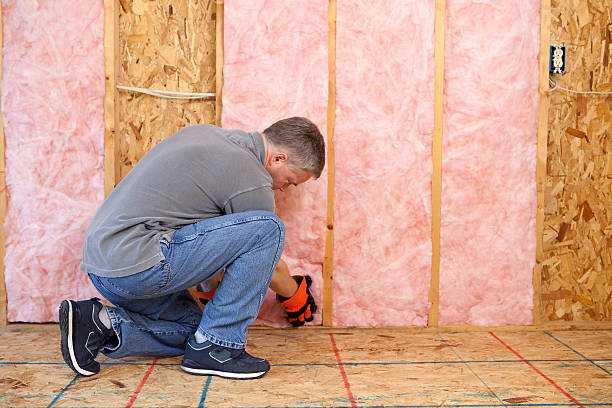 Best Insulation for New Construction  in Palos Park, IL