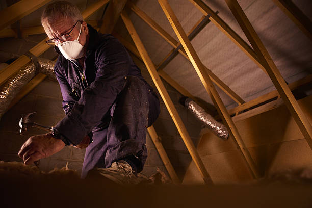 Best Insulation Contractor Near Me  in Palos Park, IL